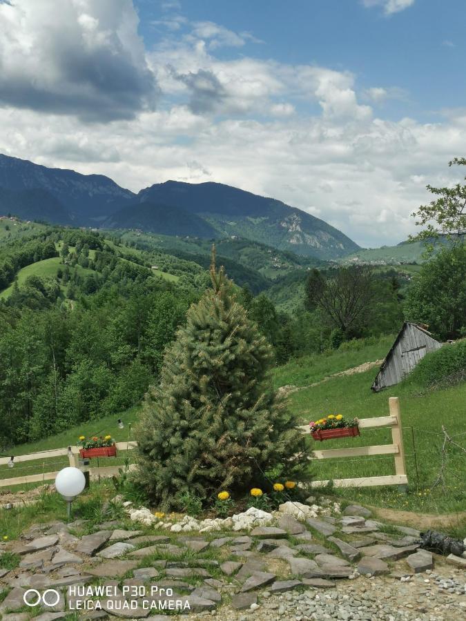 Cabanuta Din Munti Hotell Moieciu de Jos Eksteriør bilde