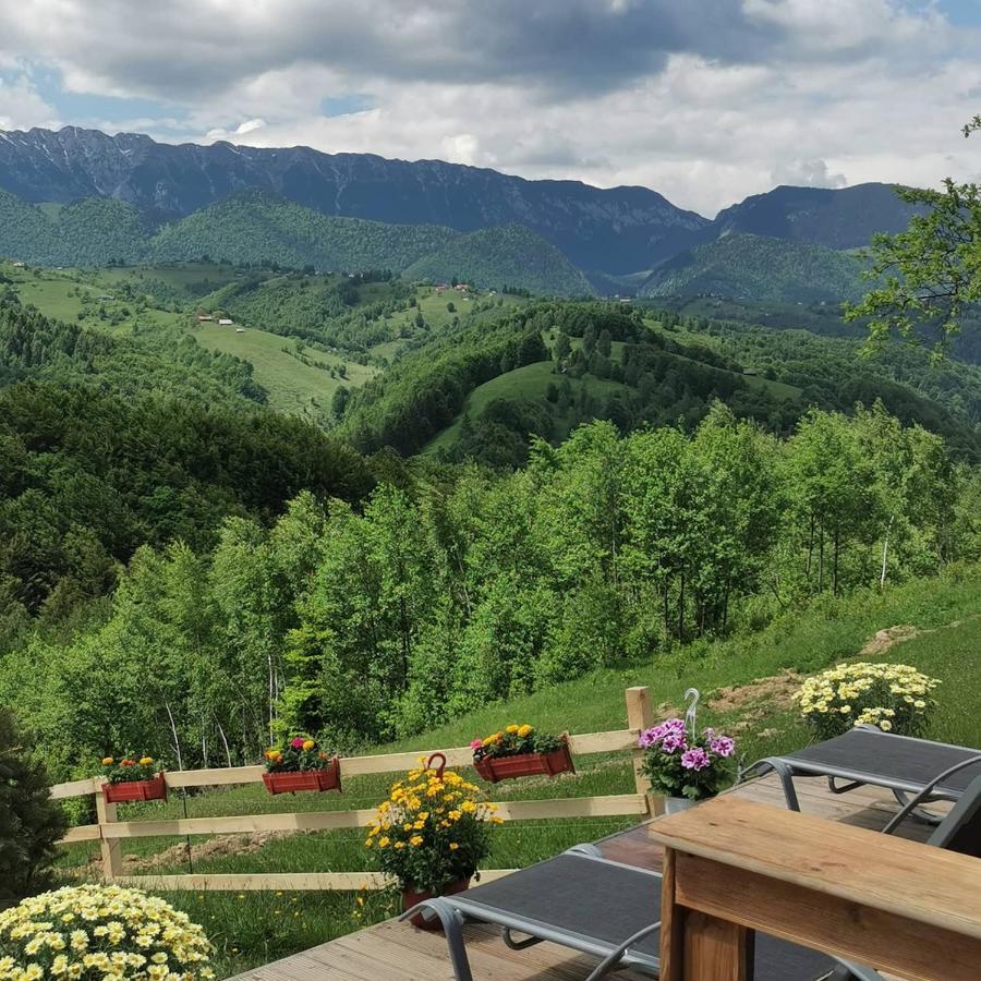 Cabanuta Din Munti Hotell Moieciu de Jos Eksteriør bilde