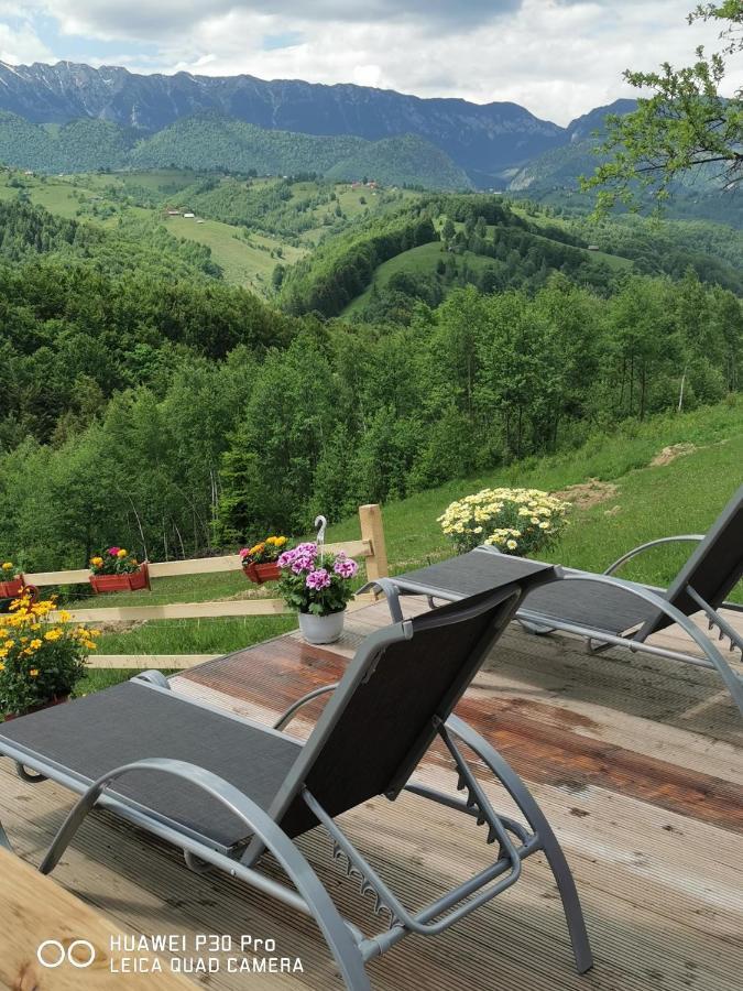 Cabanuta Din Munti Hotell Moieciu de Jos Eksteriør bilde